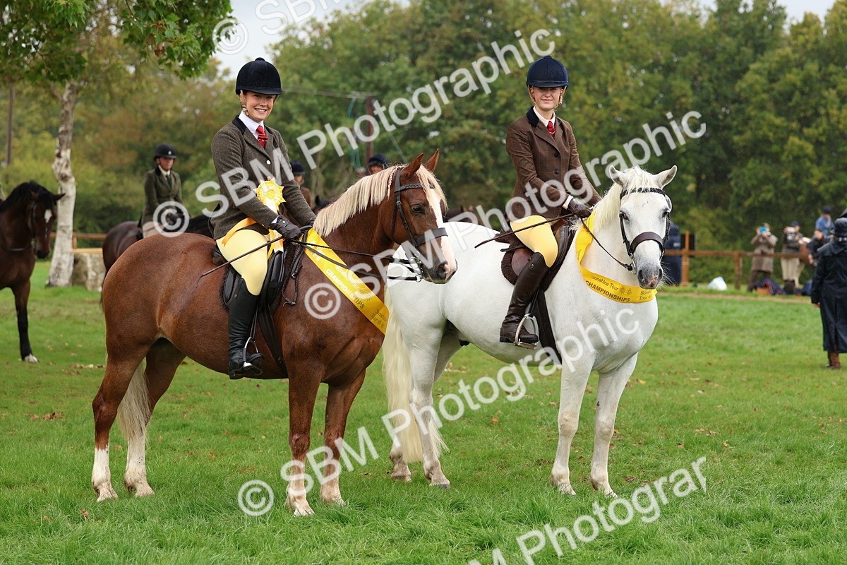 SBM_69741 - S62 - Mountain & Moorland Ridden Large Breeds