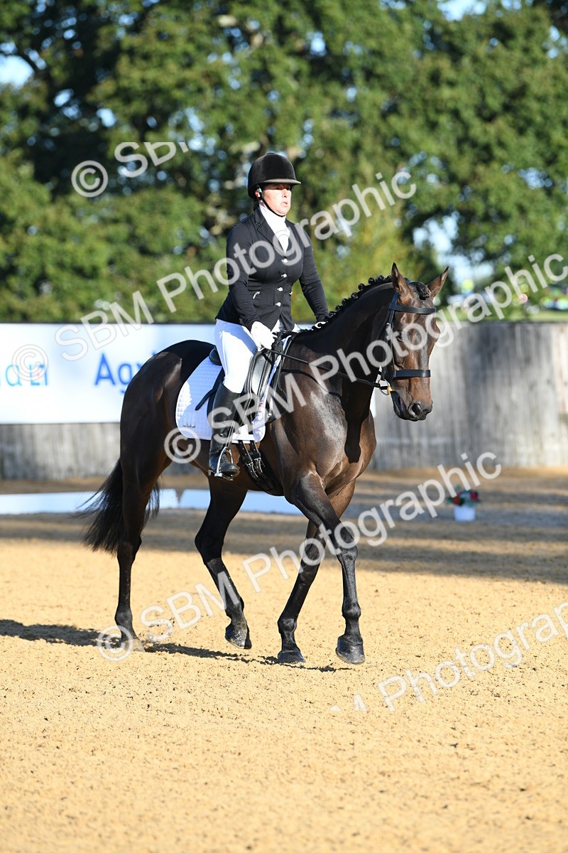 SBM_14400 - D4 - Small Tour Championship - Intro B