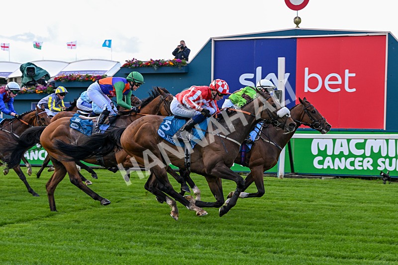 120626-Race 1-Our Havana-6627 - Race 1 13.50pm Andy Thornton Hospitality Furniture Apprentice Handicap
