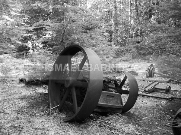 abandon - Life Stills
