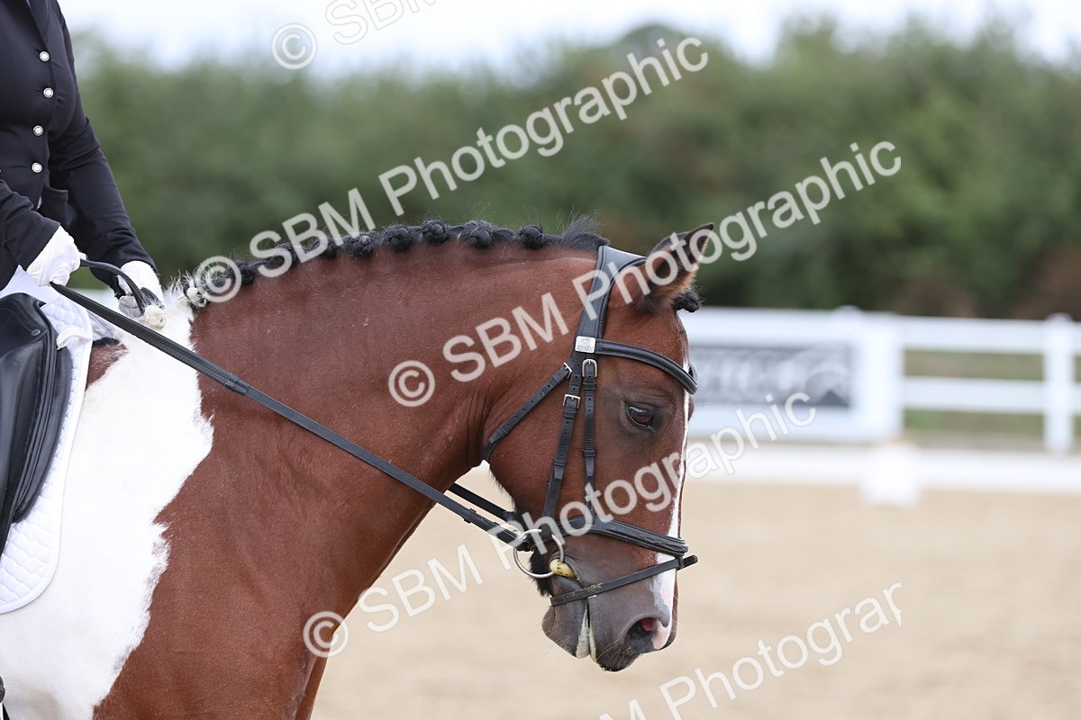 SBM_003589 - Class 6 - Prelim 3 Champs