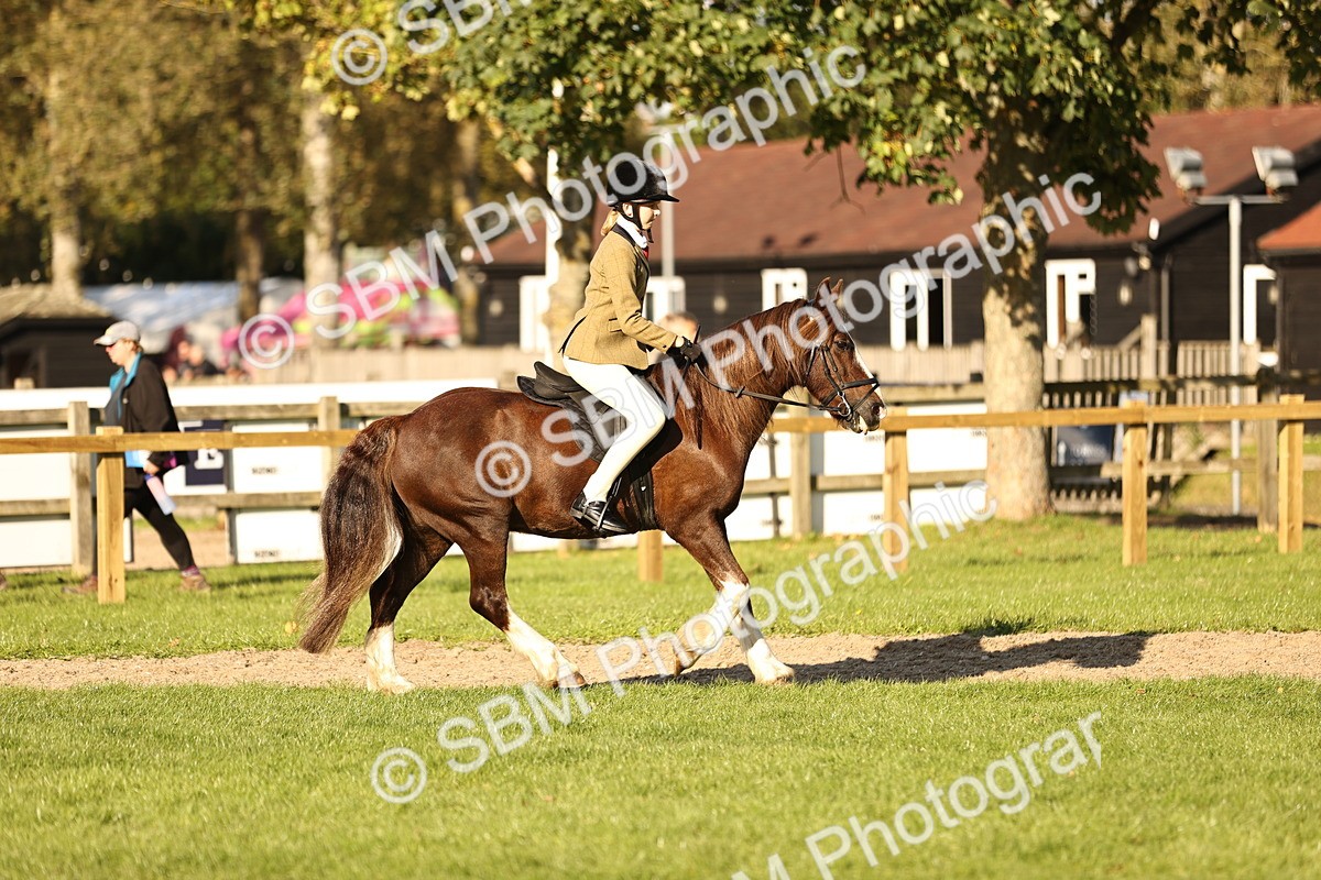 SBM_29393 - S7 - Novice & Newcomers Ridden Pony