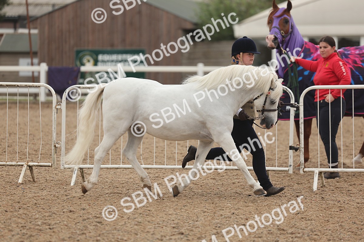 SBM_00462 - Class 13 Young Handler
