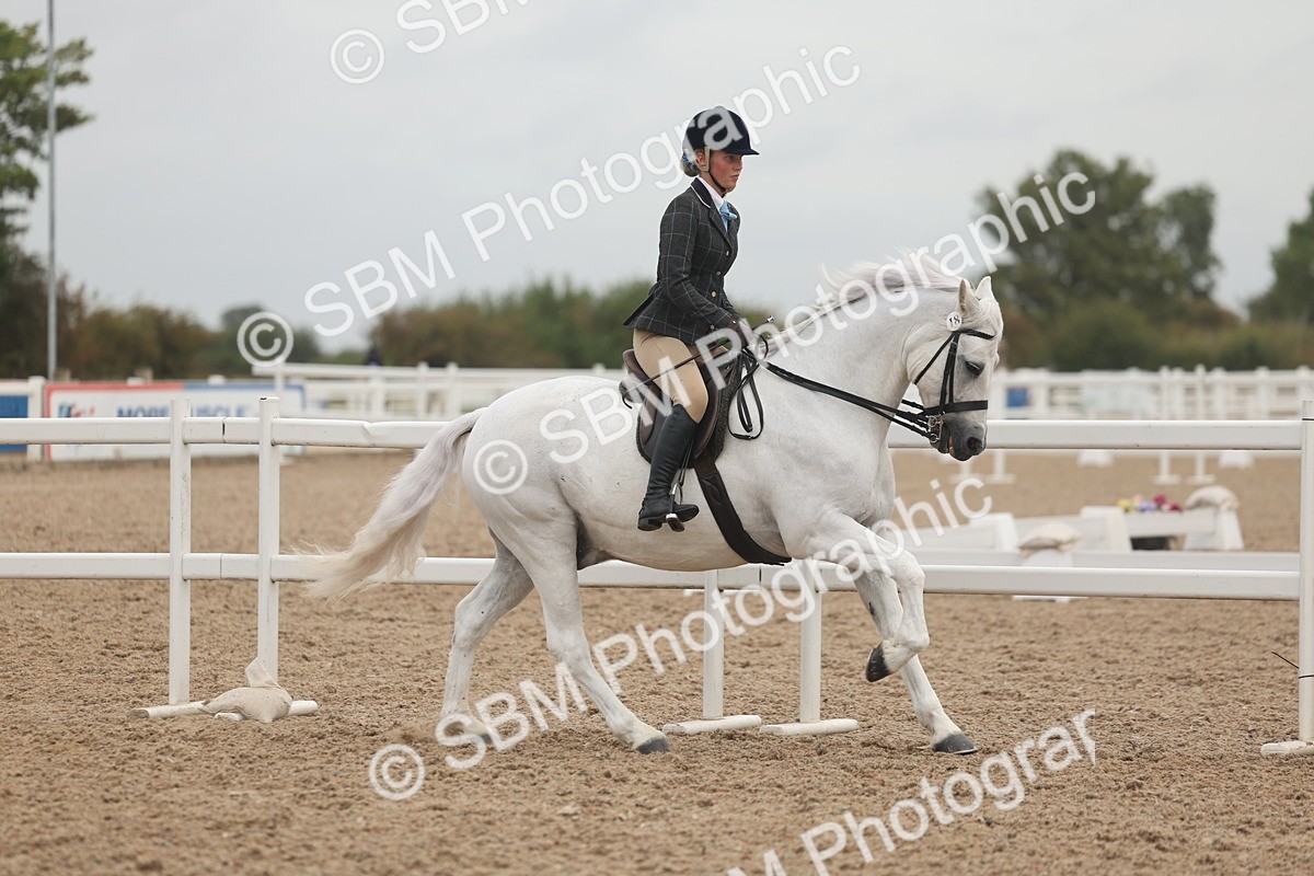 SBM_01892 - Class 14 - Ridden M&M Wildcard