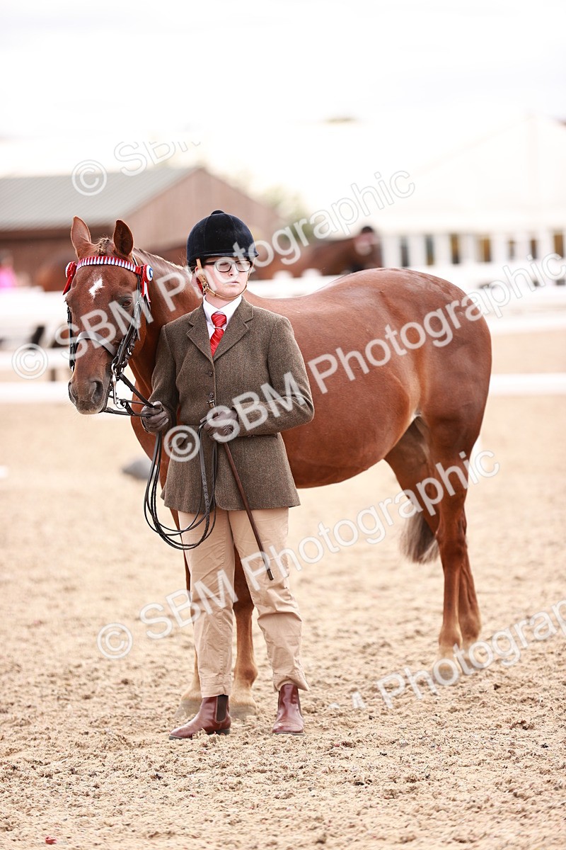 SBM_16356 - Class 413 - Best Condition - Adult