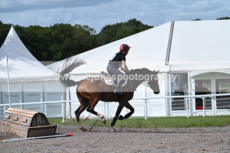 WJ7_2065 - Time 13:17 to 13:53