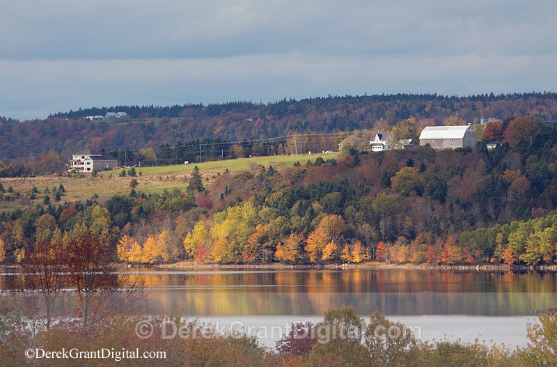 Darlings Island New Brunswick Autumn Foliage - New Brunswick Landscape