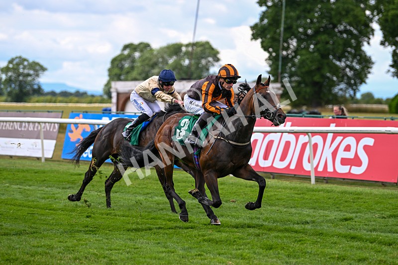 020725-Race 1-Dandy Style-1789 - Race 1