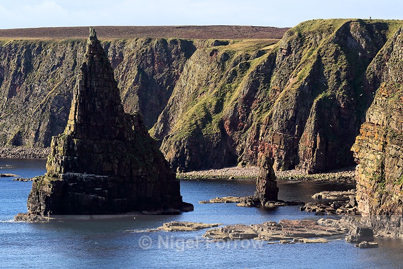 One of the Duncansby Stacks, North East Scotland - Scotland