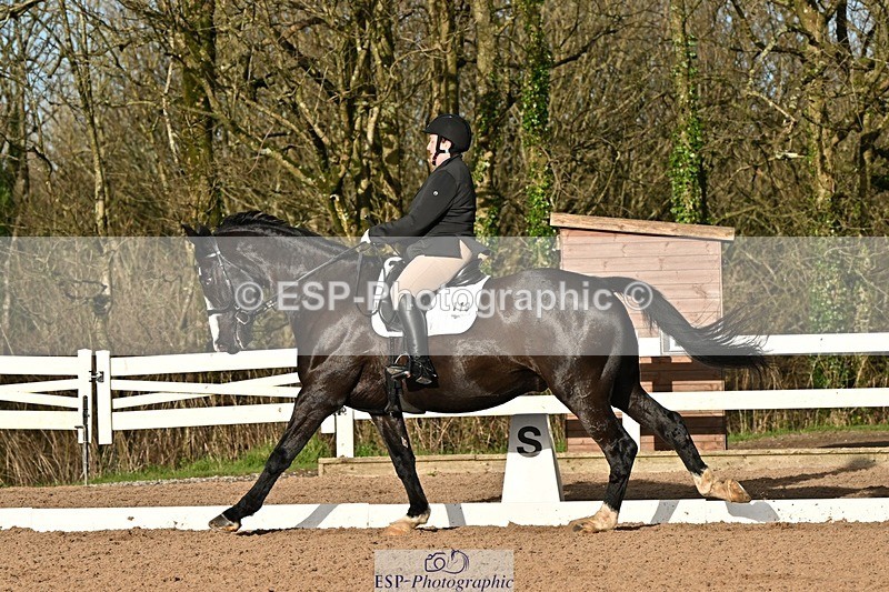 241214-132519-02417 - 119-Rosey.Bradburn-High.Spirits.II