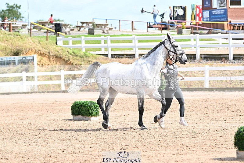 240717A-155918-03243 - Trot Up 3pm to 4pm