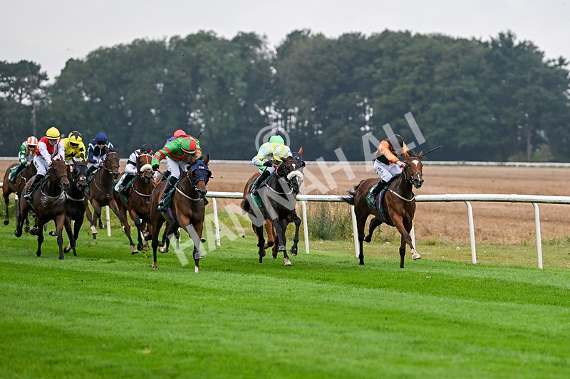 070924-Race 2-Cymbidium-7138 - Race 2