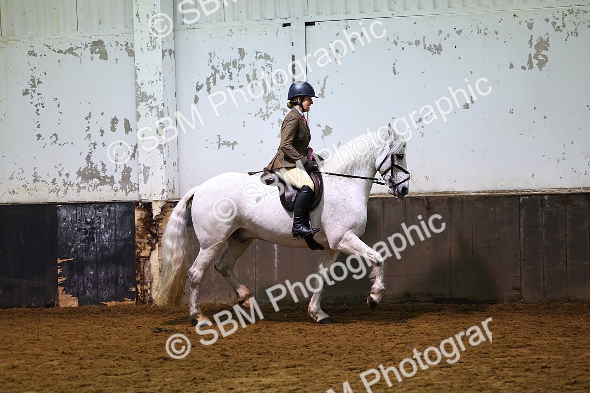 SBM_006722 - Class 43 - RIHS Qualifier Exceeding 43cms