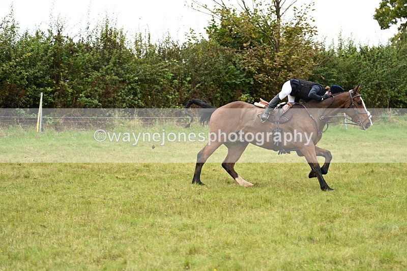 WJ7_4175 - Camera 1 Line 2