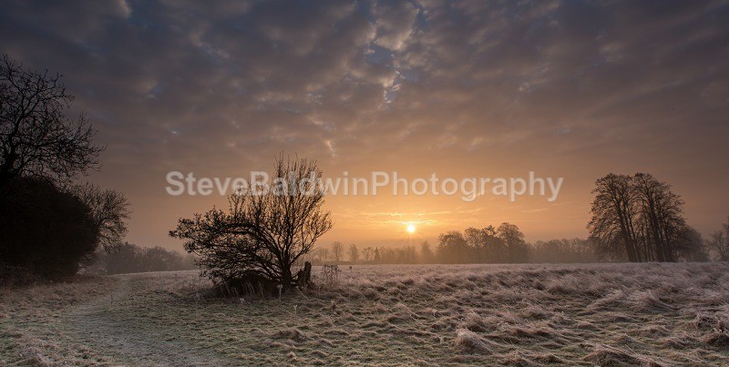 Frosty Waterford Morning:89E - Earth: Close to Home