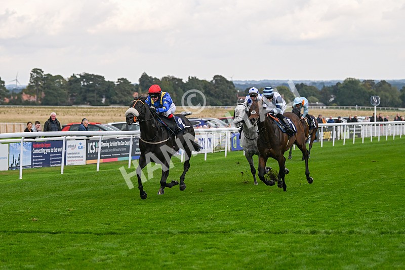 240924-Race 4-Tees Spirit-6243 - Race 4