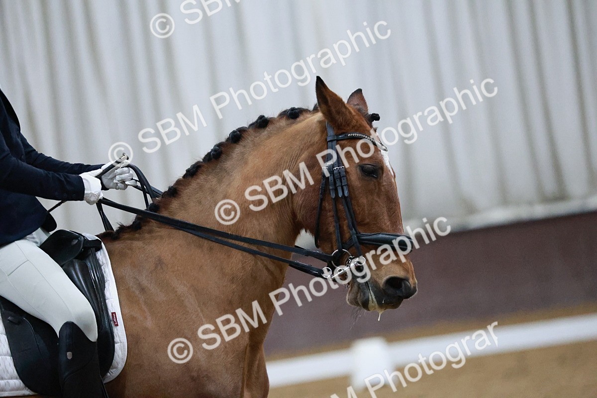 SBM_005524 - Medium Music-Medium 2-Adv Med 1