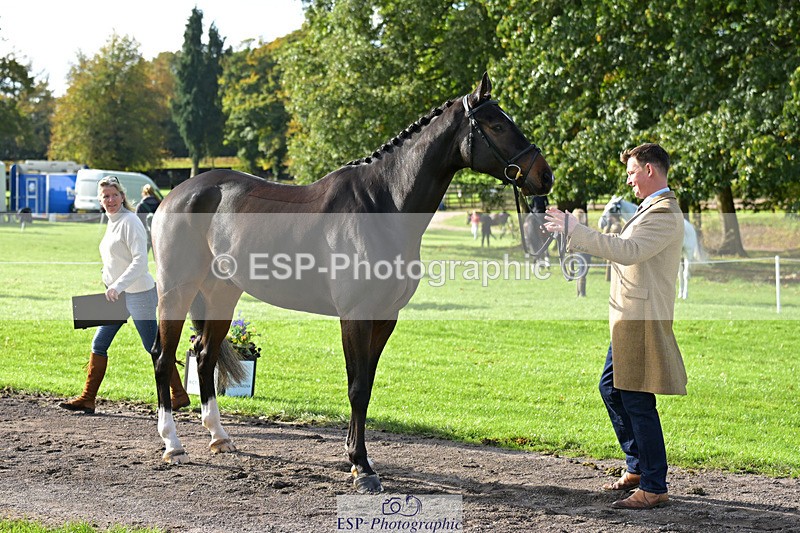 241023-130830-00092 - 005-Matthew.Heath-DIEGOS.ROSE