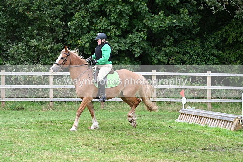 WJ7_7813 - 40cm Time 10:49 to 11:18