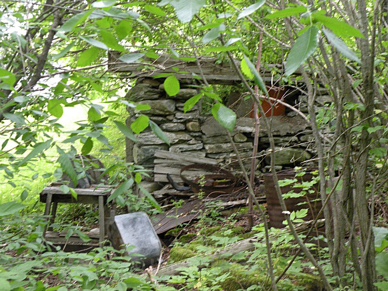  - Water Wood Earth