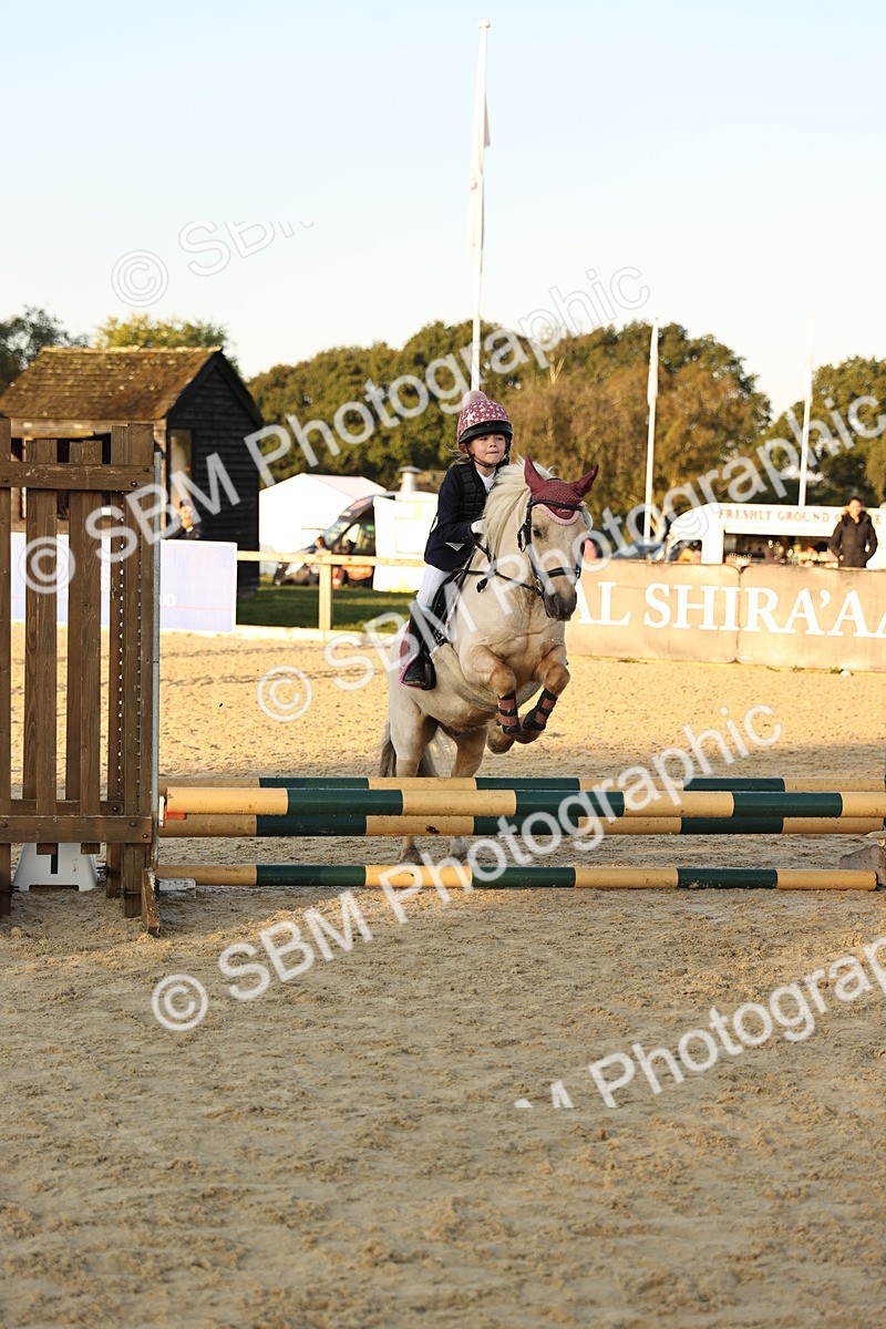 SBM_56986 - J11 - Junior Pony 50cm Championship