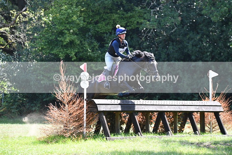 WJ5_3291 - XC Time 13:30 to 14:00