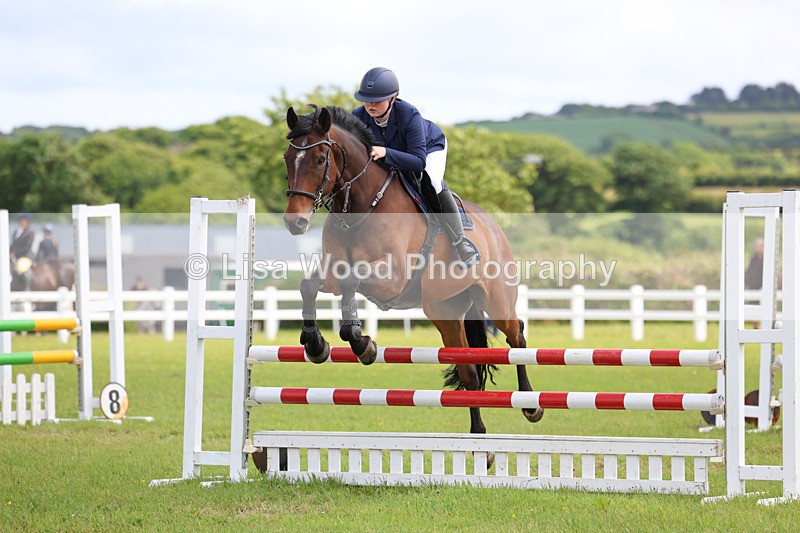 3E7A7549 - Class 13: Senior British Novice/90cm open