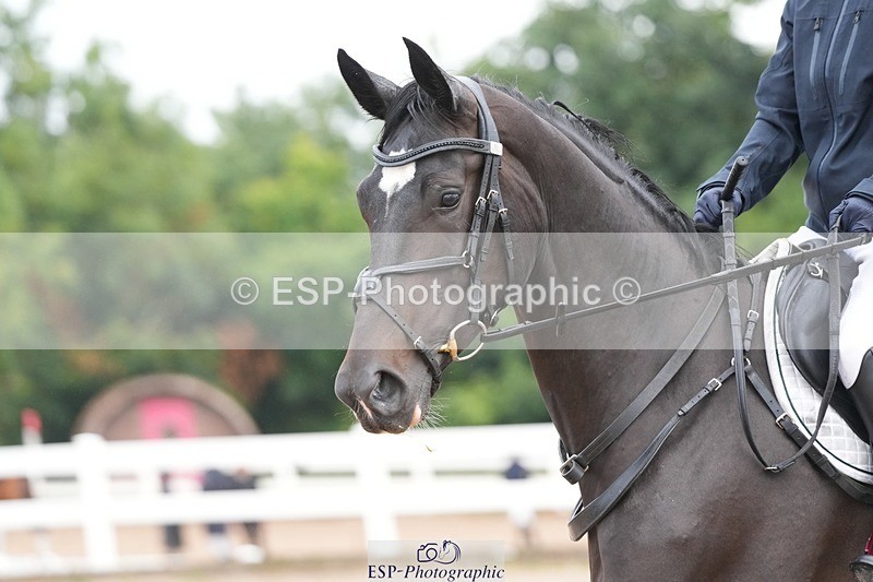 250731-101641-01338 - Cls 08  85cm Nat Am Qual