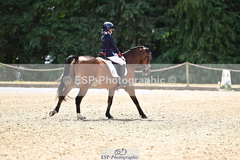 260802A-122525-06208 - Novice Silver break- end