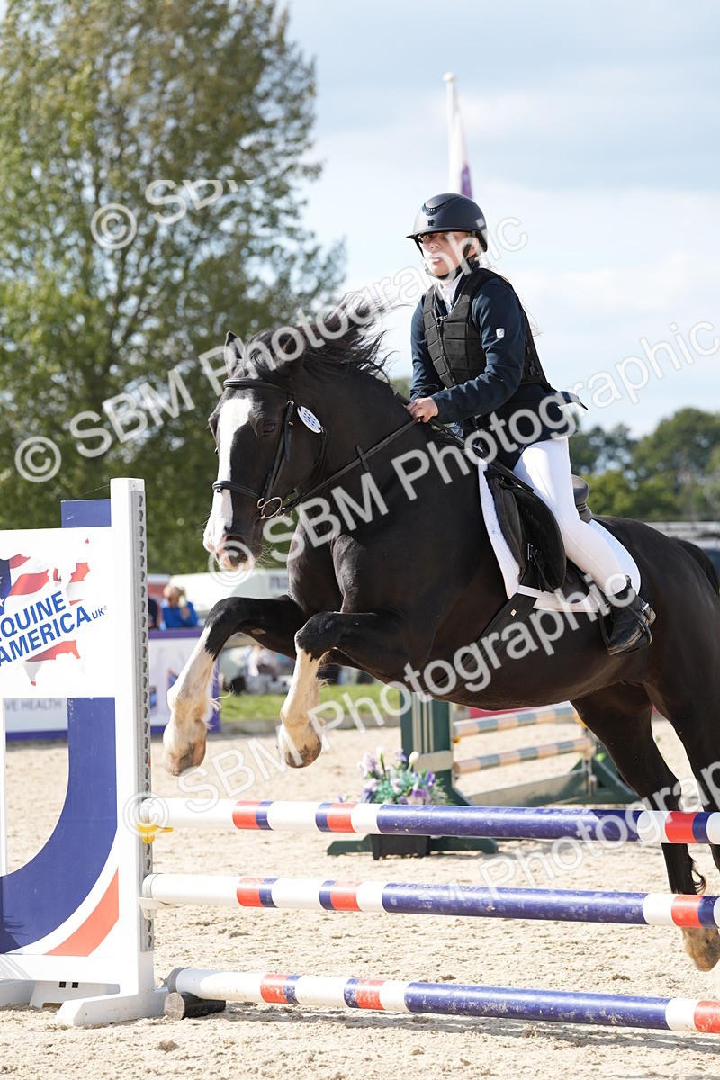 SBM_48549 - J22 - Junior Horse 65cm Championship