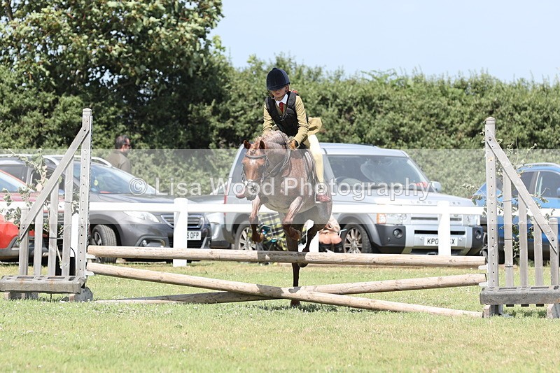 JPP_2123 - Class 19: Working Hunter 60cm