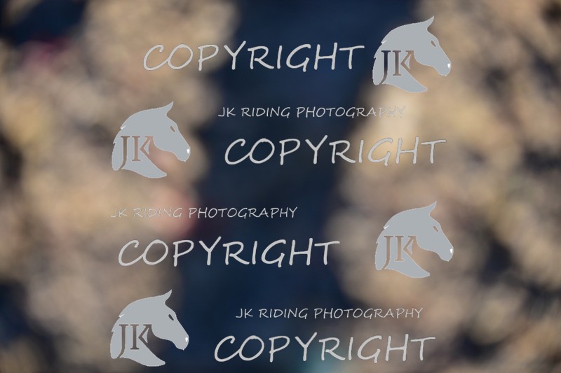 SBP_0937 - 10am - 11am