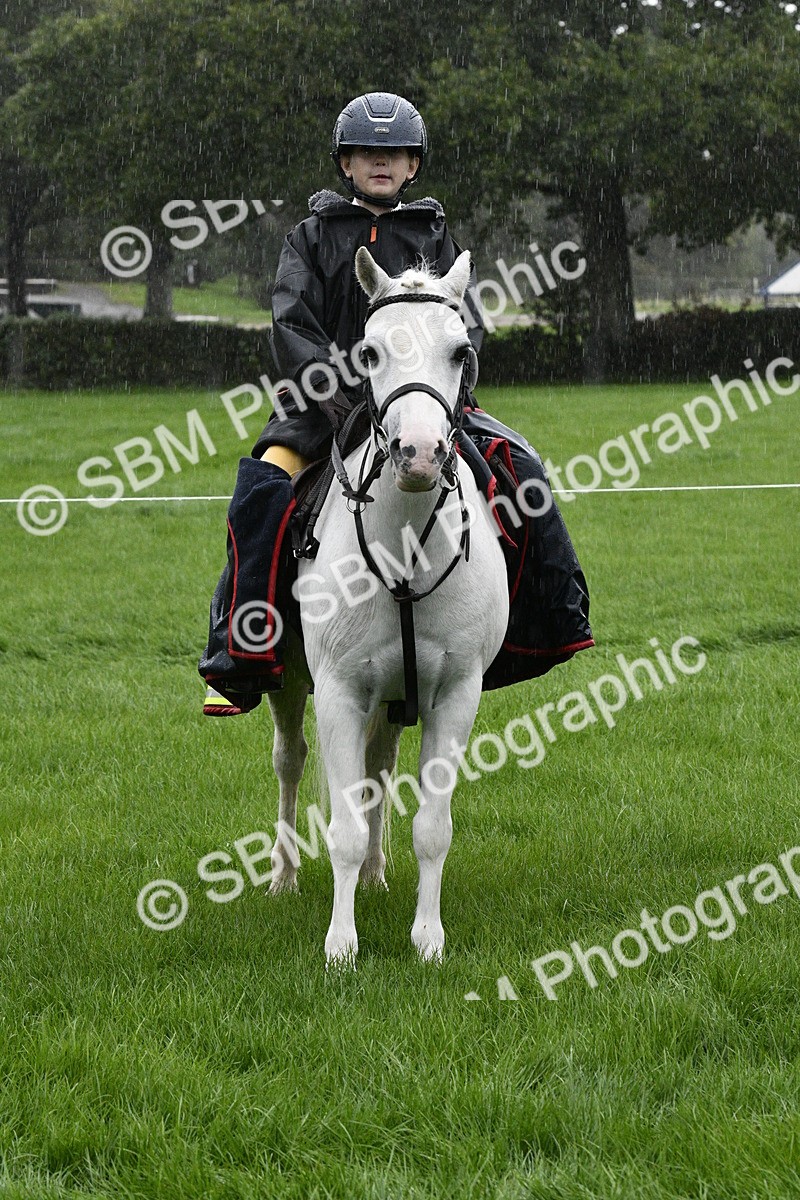 SBM_35561 - S30 - Nursery Stakes Working Hunter Pony
