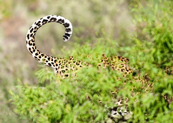  - Namibia