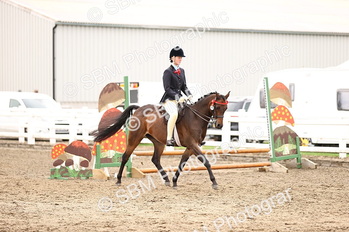 SBM_01334 - Class 54 - Riding Club Horse Pony