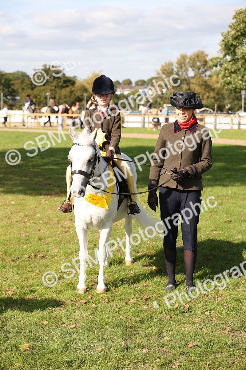 SBM_50100 - S26 - Young Veteran - Ridden