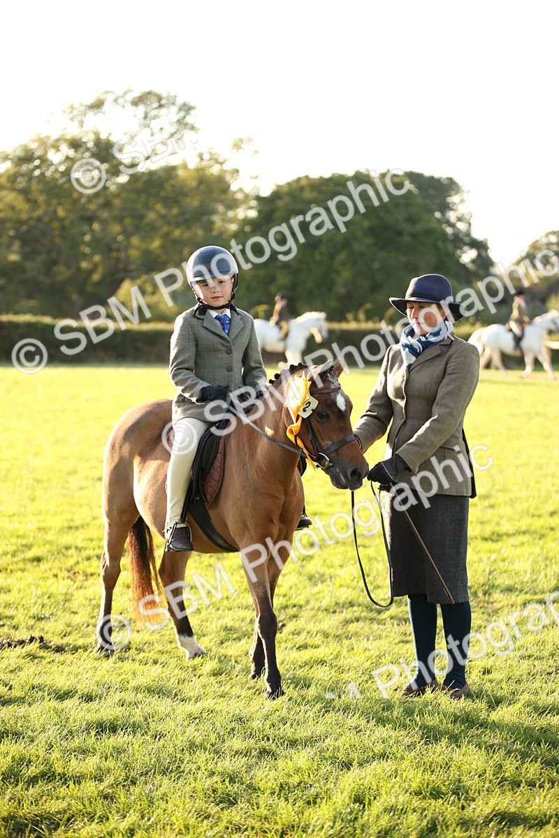 SBM_54494 - S27 - Mature Veteran - Ridden