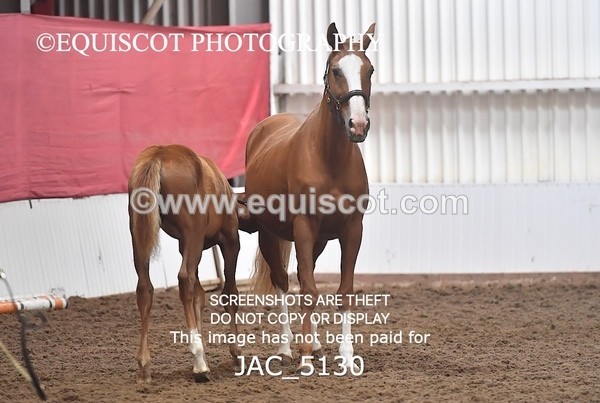 JAC_5130 - 9 Zinzipan