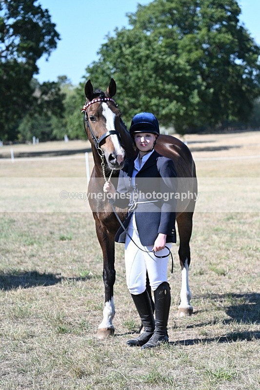 WJ7_1582 - Class 42 Most Handsome Gelding