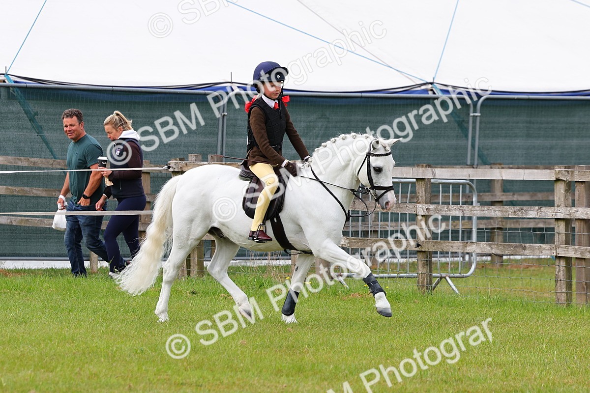 SBM_09583 - Class 44-45 - LIHS BSPS Open Nursery and Cradle Stakes