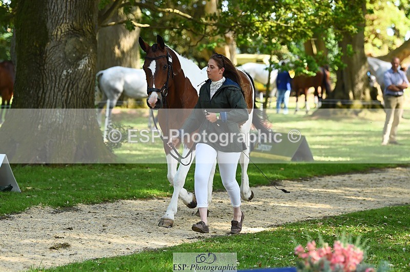 230524-163720-00981 - 107-KOLESTON_PERFECT-Torie_Sleep-WEDTrotUp+DR