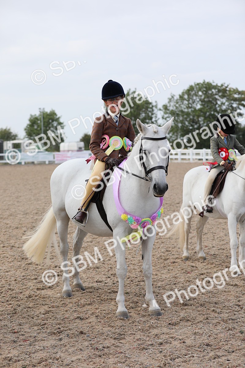 SBM_17060 - Class 314 Family Horse/Pony