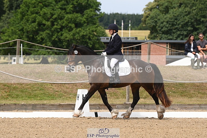 250720A-115744-10091 - 079-Amanda.Williams-Llanarth.Westminster