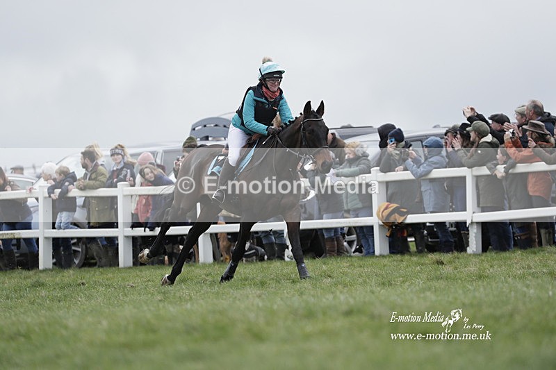 PtP 260323 0192 - New Forest Hounds Point-to-Point Larkhill 26/03/23