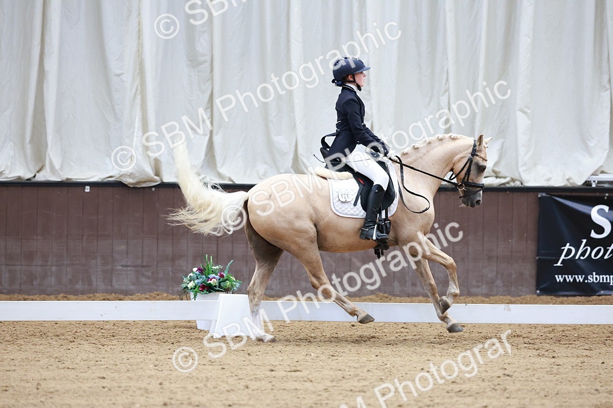 SBM_017395 - Class15 - FEI Pony