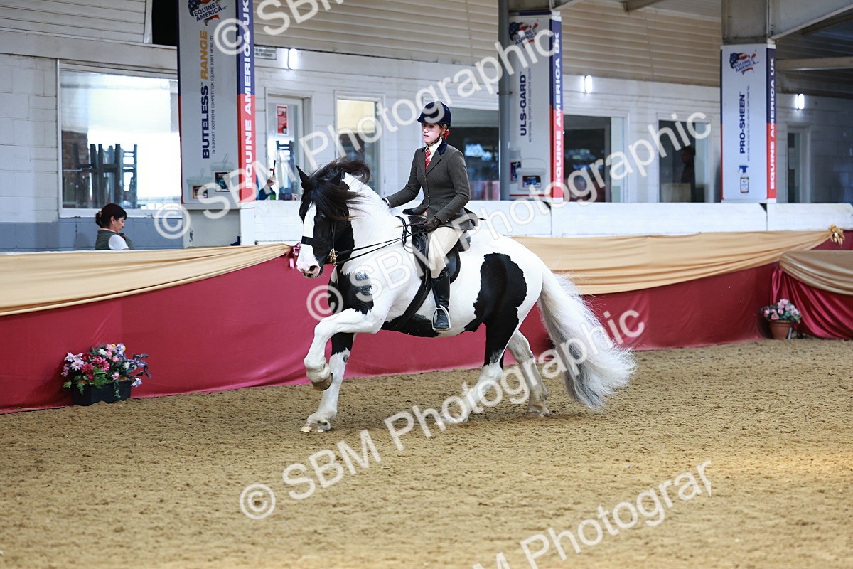 SBM_23483 - class 906 - Supreme Final - Ridden Pre Vet
