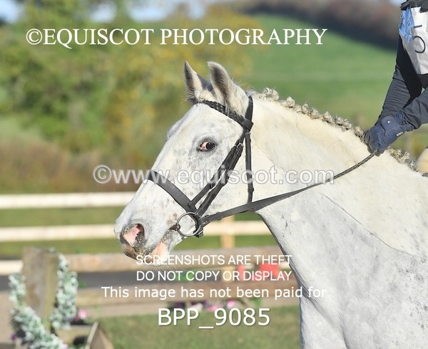 BPP_9085 - CLASS 1 40CM