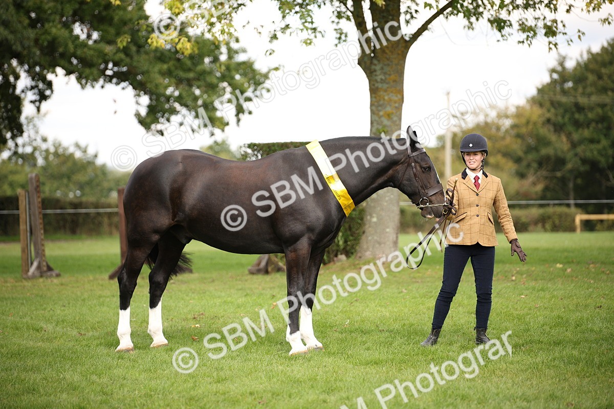 SBM_62924 - In Hand Horse Supreme Championship