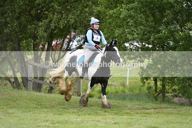 WJ5_2459 - Class 2 40cm