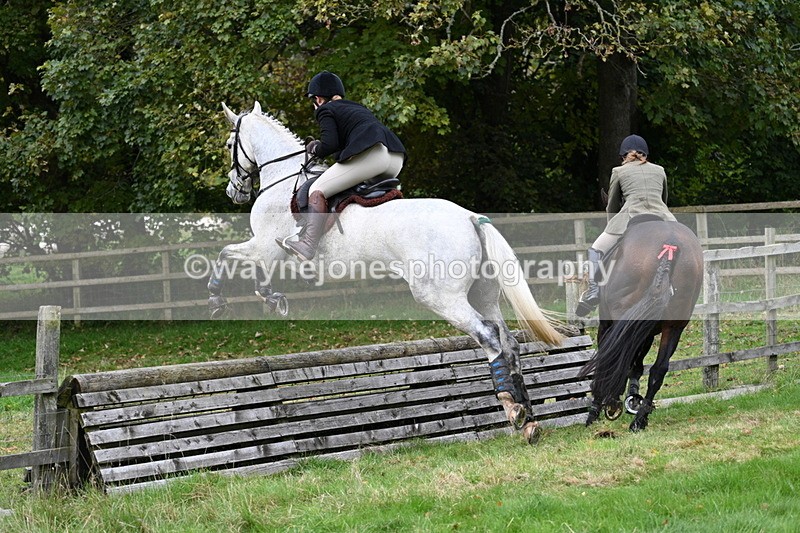 WJ7_4731 - Camera 1 Line 3